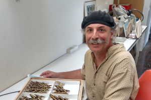 AJ Cook Arthropod Research Collection part of $3.2 million effort to digitize Lepidoptera specimens