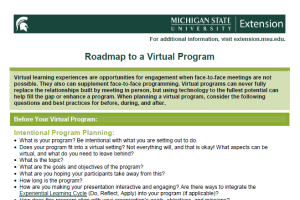 Roadmap to a Virtual Program