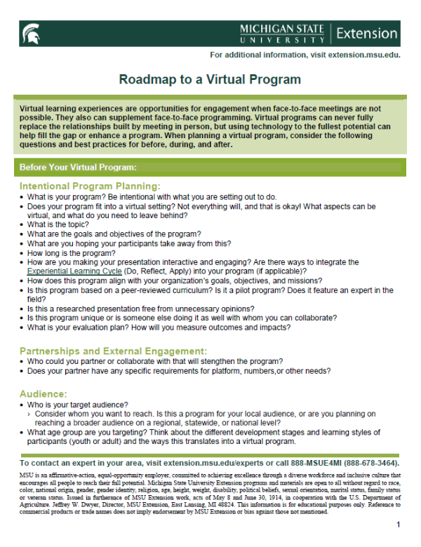 Thumbnail of Roadmap to a Virtual Program document.