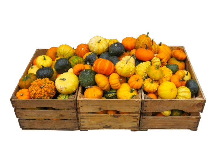 A picture of various squash in a wooden box.