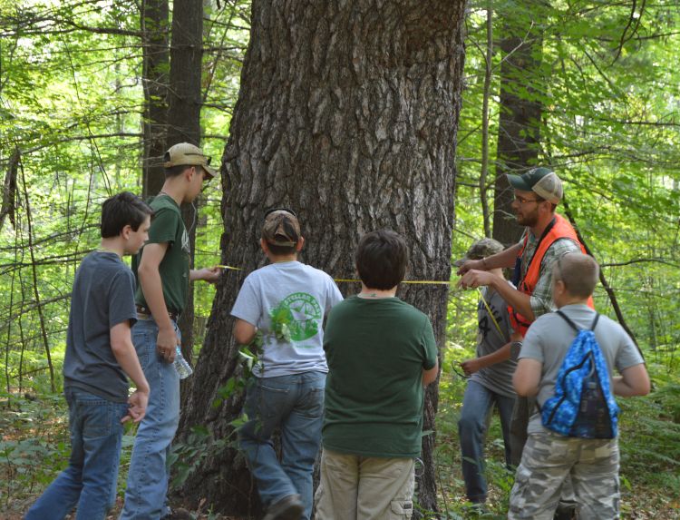 Youth using D-tape to measure the tree diameter 4 feet from the ground, an example of planning and carrying out an investigation.