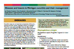 Diseases and Insects in Michigan Cucurbits and their Management (E3276)