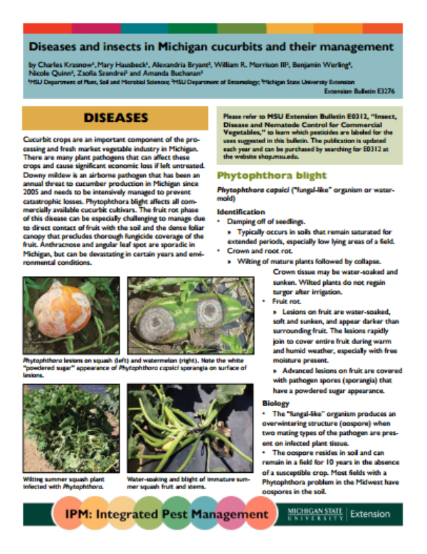 Diseases and Insects in Michigan Cucurbits and their Management (E3276) -  MSU Extension