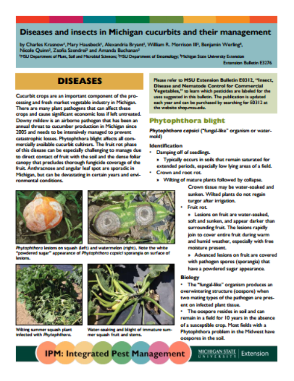 Moldy food – what should I do? - MSU Extension