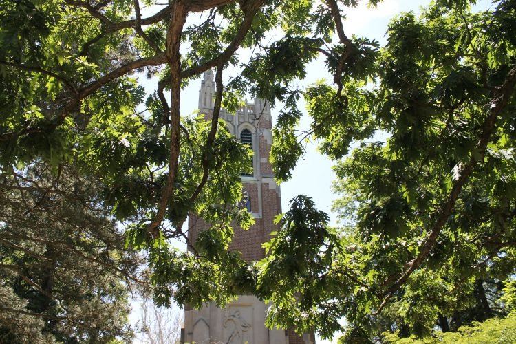 Beaumont tower peaking behind branches