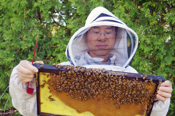 Alachua County beekeepers struggle against mites