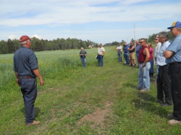 Bob Folkersma describes his triticale/pea program. All photos by Jim Isleib, MSU Extension