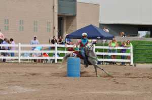 Barrel Racing 101 Selecting The Proper Equipment Msu Extension