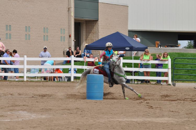 Barrel racing can be fun, rewarding and exciting for 4-H members and their horses! Photo credit: ANR Communications | MSU Extension