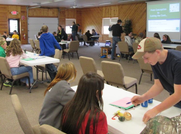 Michigan youth explain the model they created using the Farm Animal Reproduction Activity to better understand endocrinology. Photo: Melissa Elischer, MSU Extension.