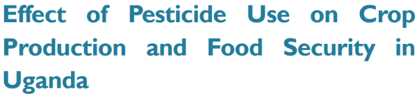 research paper on food security