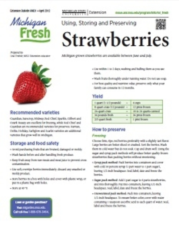 Michigan Fresh Using Storing And Preserving Strawberries Hni31 Msu Extension