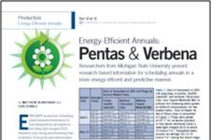 Energy-efficient annuals 12: Pentas & verbena