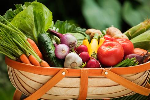 Basket filled with fresh vegetables, carrots, beets, squash, tomatoes and more.