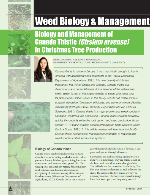 A photo of the first page of the resource.