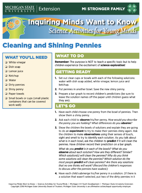 Inquiring Minds Want To Know: Cleaning And Shining Pennies - 4-H Science,  Technology, Engineering & Math (Stem)