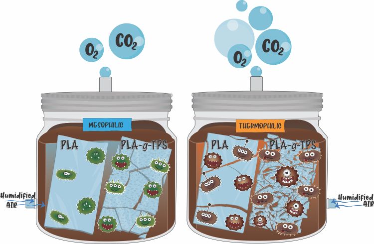 Biodegradation of PLA and PLA-g-TPS