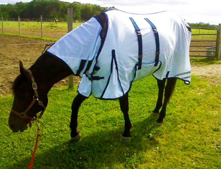 A fly sheet is a great way to keep bugs away while providing a small heat block.