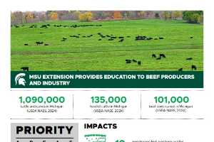 MSU Extension Provides Education to Beef Producers and Industry