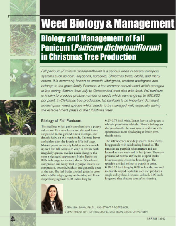 A photo of the first page of the resource.