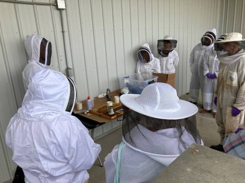Photo of beekeepers looking at frames being tested on a table.