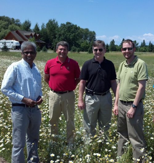 Project partners Satish Joshi, Steve Yanni, Scott Loveridge and Brent Ross inspect future switch grass field test plot. 