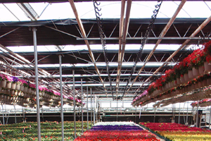 HRT 323: Floriculture Production