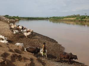 Situation Analysis Summary: Food security in the Omo-Turkana Basin