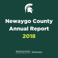 county annual report graphic