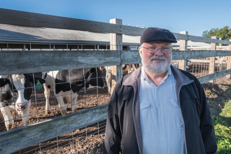 Paul Bartlett, a professor in the MSU Department of Large Animal Clinical Sciences.