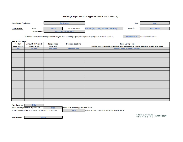 Image of strategic input purchasing plan template.