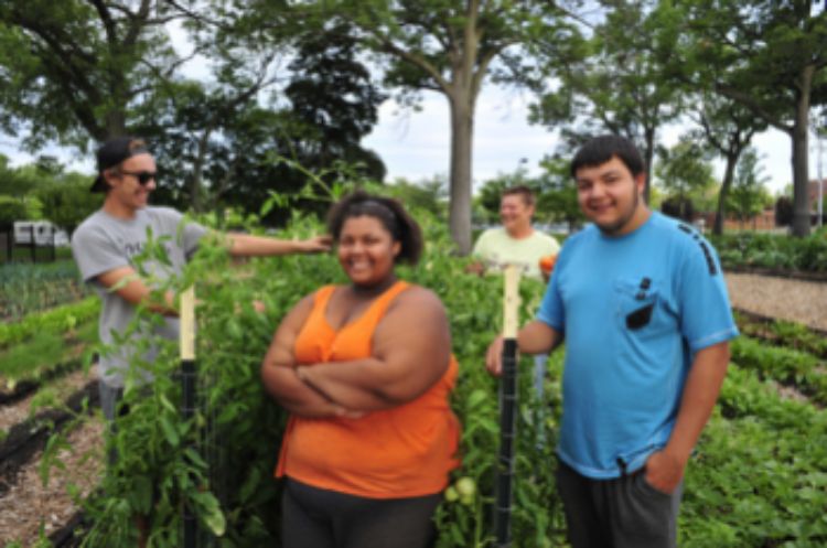 Growers at Mc Laughlin Urban Farm Photo Credit: Marty Gerencer