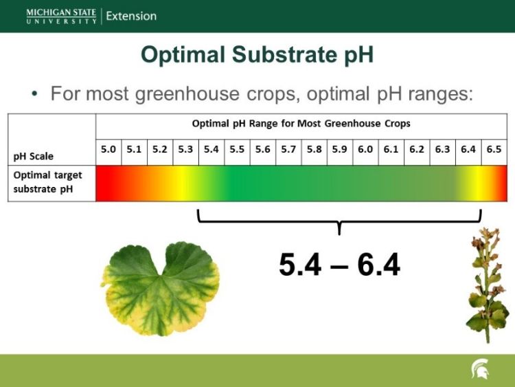 Figure 1. The optimal substrate pH for most greenhouse crops is between 5.4 and 6.4. Figure by Garrett Owen, MSU Extension.