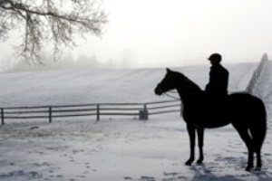 Top four tips for staying active with your horse this winter