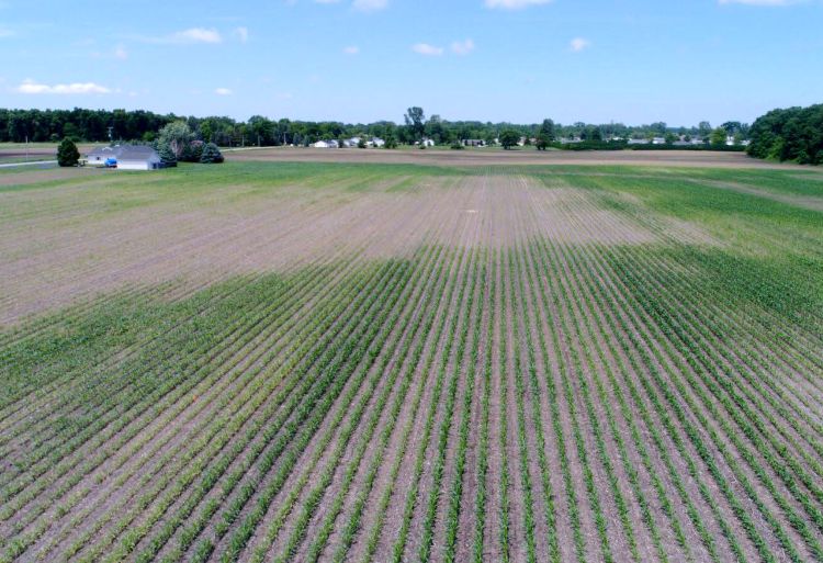 Aerial view of a field in Monroe County