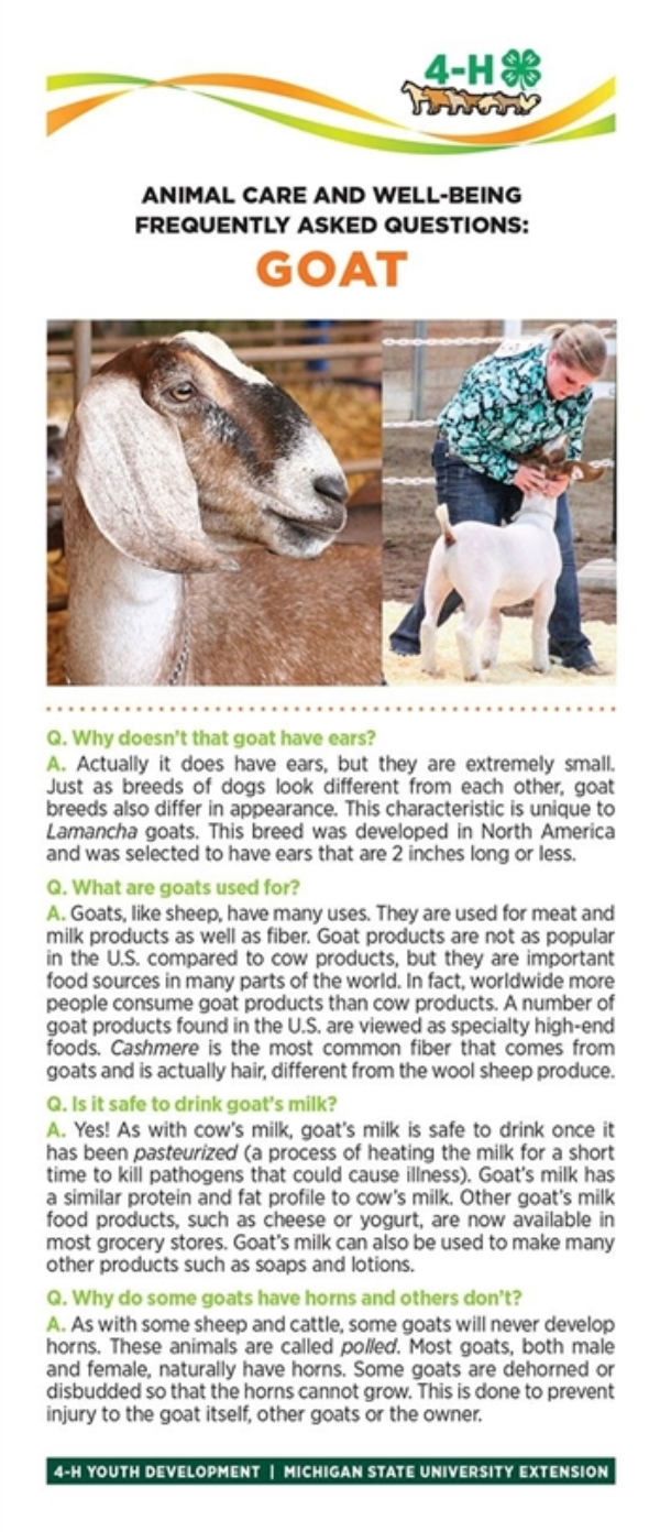 Photo of bookmark with a goat and goat information.