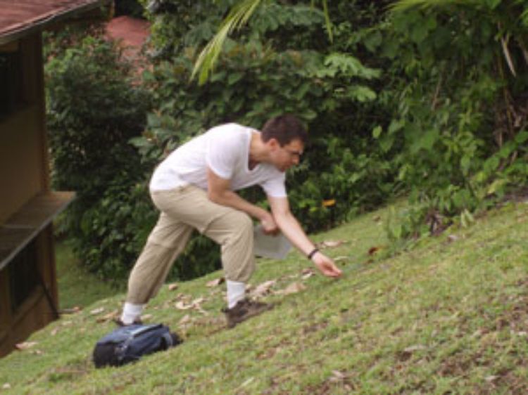 Bill Burnside in Barro Colorado Island, Panama, researching the geometry of leaf-cutter ant foraging trail networks.

