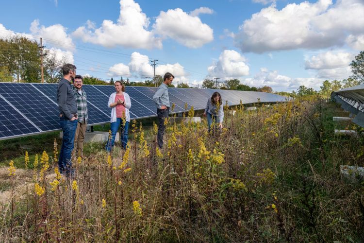 Anthony Kendall and his team of researchers in the field. They plan to analyze how solar panels near crops could impact soil health and save water.