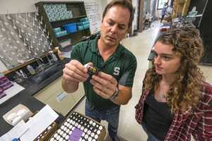 MSU entomologists receive $2.5 million from National Science Foundation