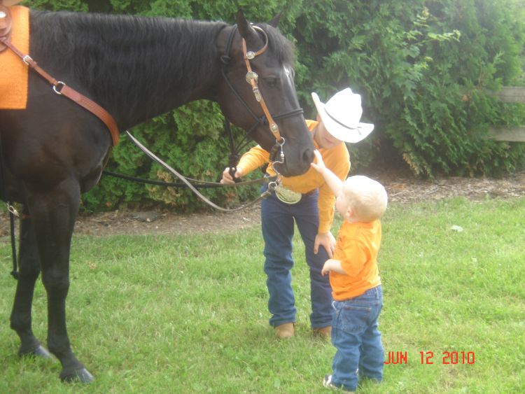 Use caution when introducing small children and horses. Photo by Tom Guthrie, Michigan State University Extension. 