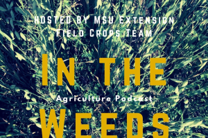 In the Weeds podcast on water quality farming