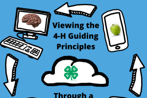 Michigan 4-H Guiding Principles for Positive Youth Development: Virtual Programming Focus
