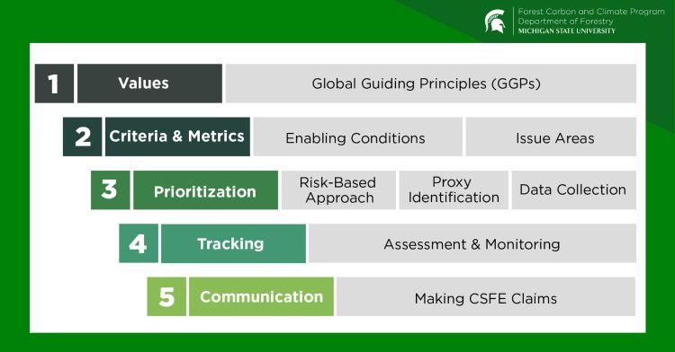 Forest Carbon and Climate Program graphic showing cascading themes in CSFE safeguards: 1) Values; Global Guiding Principles, 2) Criteria and Metrics: enabling conditions and issue areas, 3) Prioritization: risk-based approach, proxy identification, and data collection, and 5) Communication: making CSFE claims.