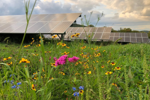 Planning and zoning guide for solar energy systems available for local officials and landowners