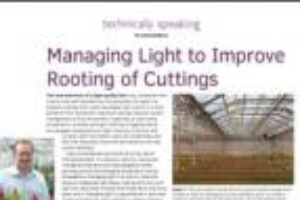 Managing light to improve rooting of cuttings