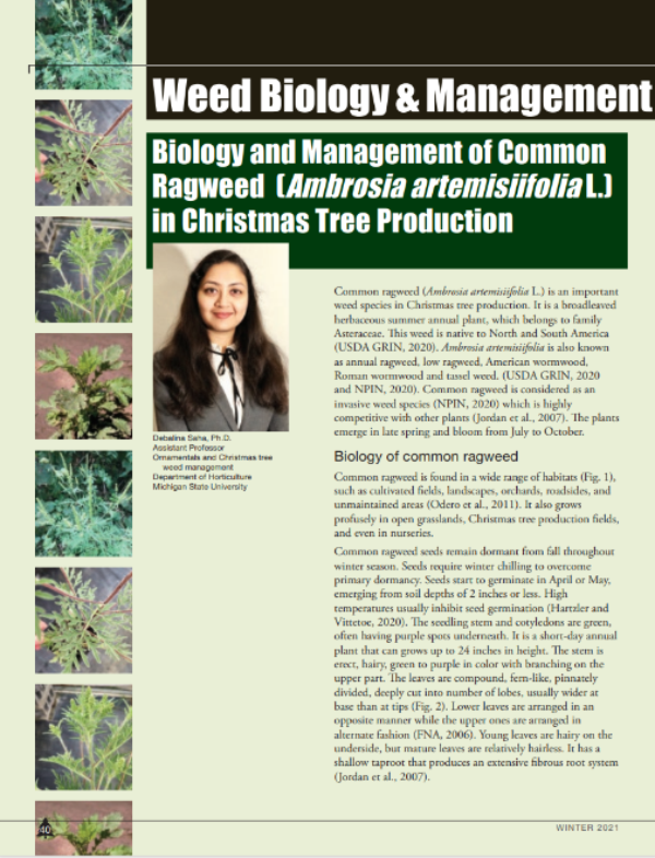 A photo of the first page of the resource.