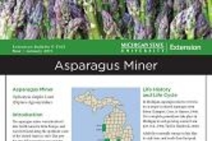 Asparagus Miner Facts (E3143)