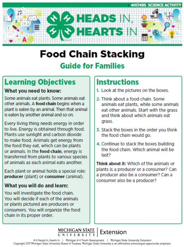 Food Chain Stacking cover page.