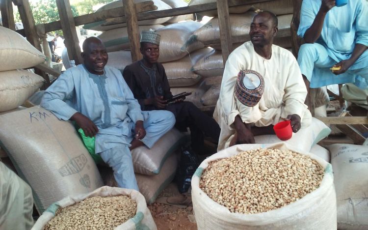 Photo of men selling legumes at Market in Kano, Nigeria.