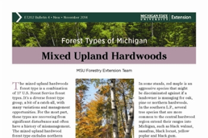 Forest Types of Michigan: Mixed Upland Hardwoods (E3202-4)